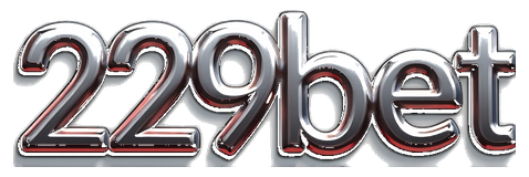 229 bet logo